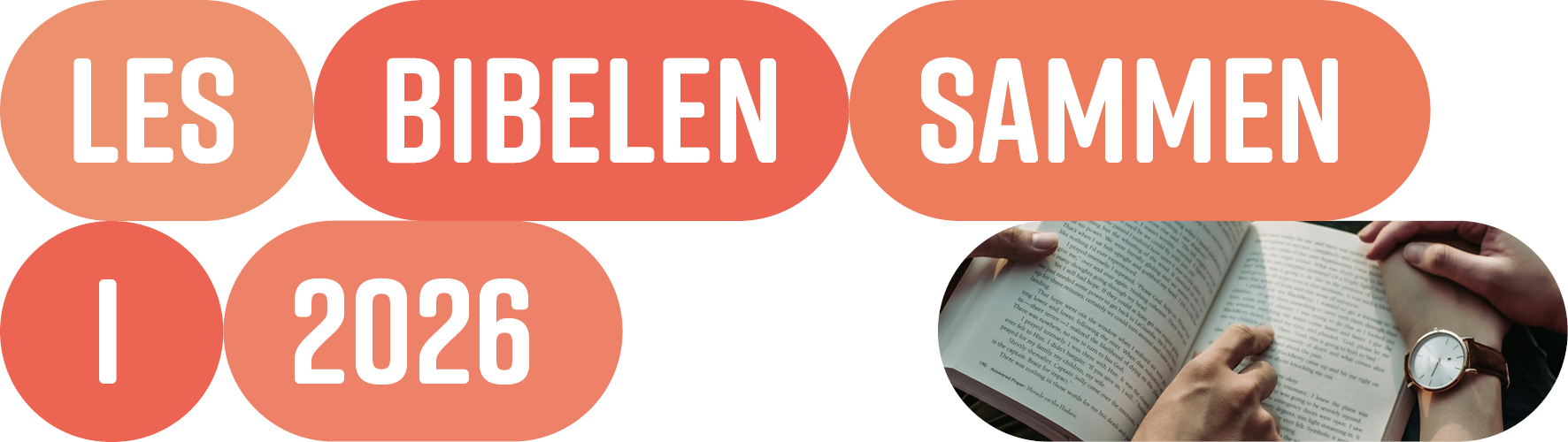 Les bibelen sammen i 2024